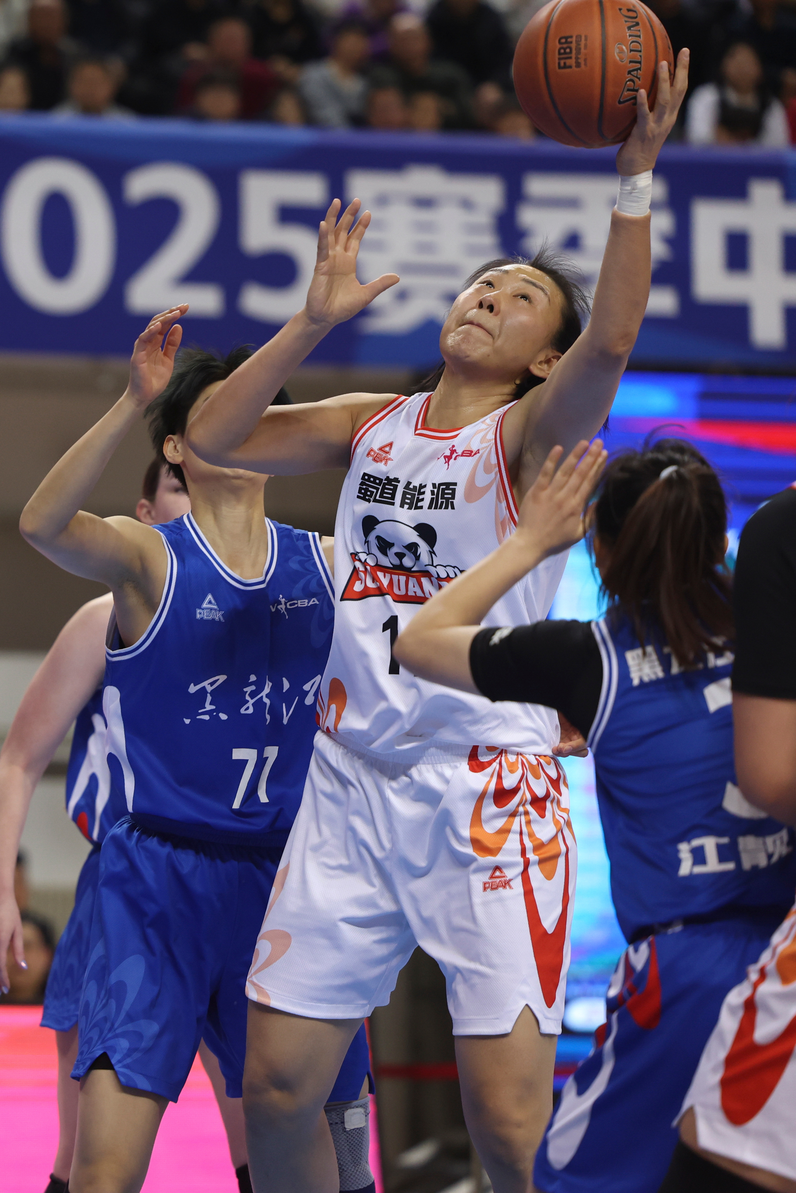 开云体育网页版-四川队力克对手，成功晋级季后赛