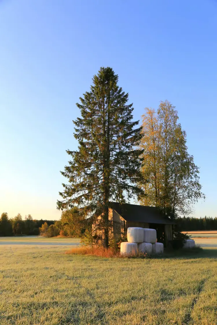 开云体育地址-挪威战平拉脱维亚，难分高下